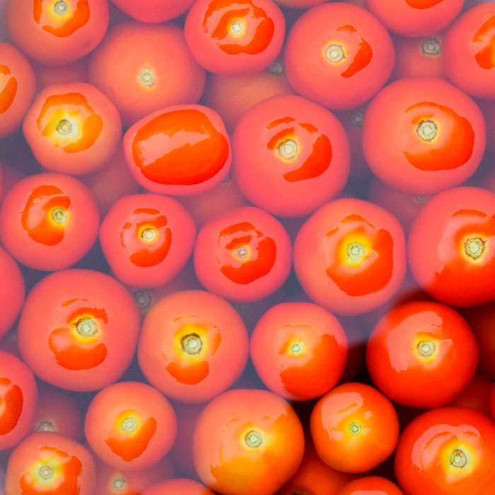 imagem de tomates